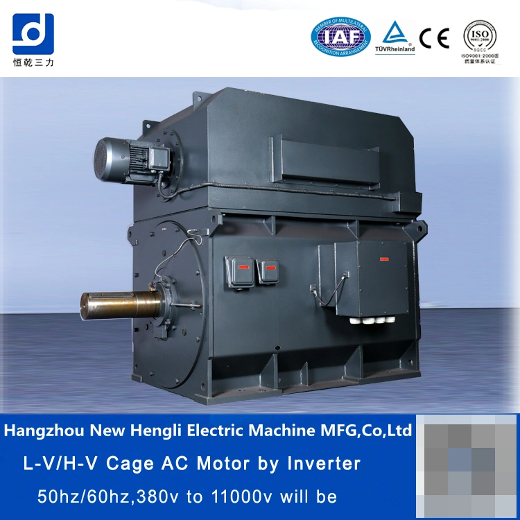 Three Phase AC Induction Motor, AC Induction Motor