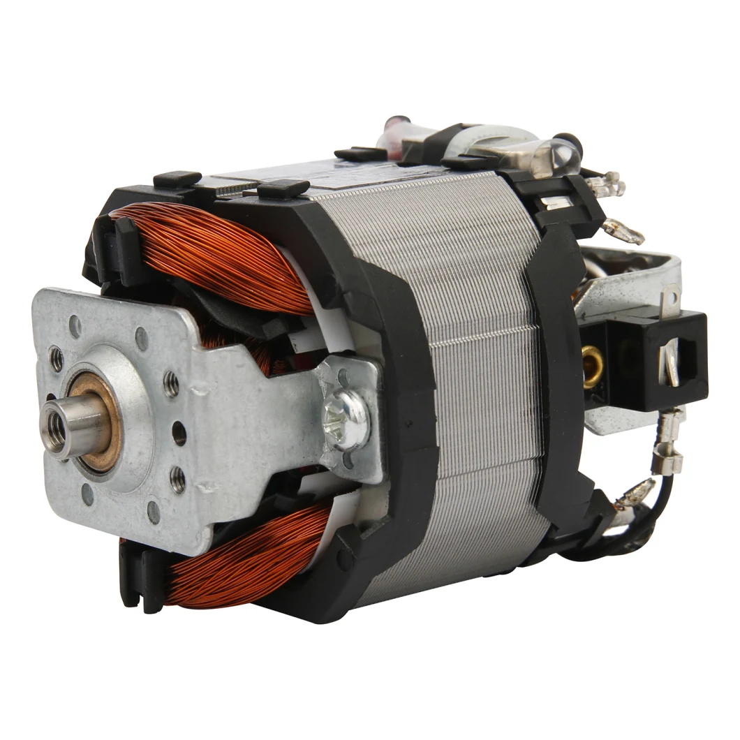 Well-Known Brand Hair Dryer Universal AC Motor