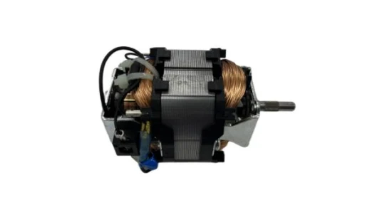 Factory Universal Electro 200 Watts AC Motor for Blender/Hair Dryers