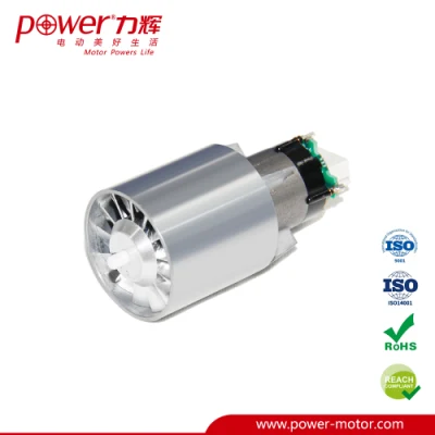 220V High Speed High Efficiency Brushless DC Motor Hair Dryer Electrical BLDC Motor